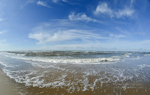 Beach of Dunes of Texel National Park, near De Koog village