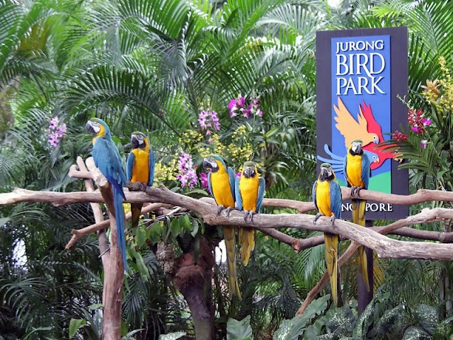 Jurong Bird Park