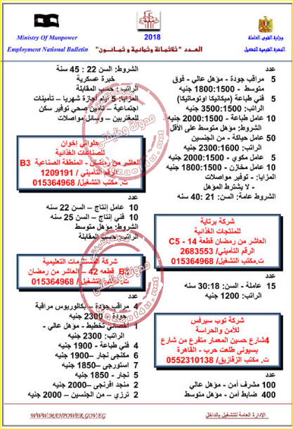 وظائف وزارة القوى العاملة
