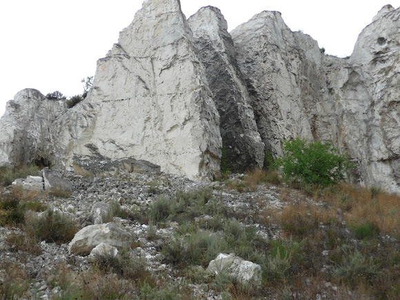 Білокузьминівські скелі. Пам'ятник природи. Донецька область