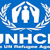 Programme Associate at United Nations High Commissioner for Refugees (UNHCR) - Apply