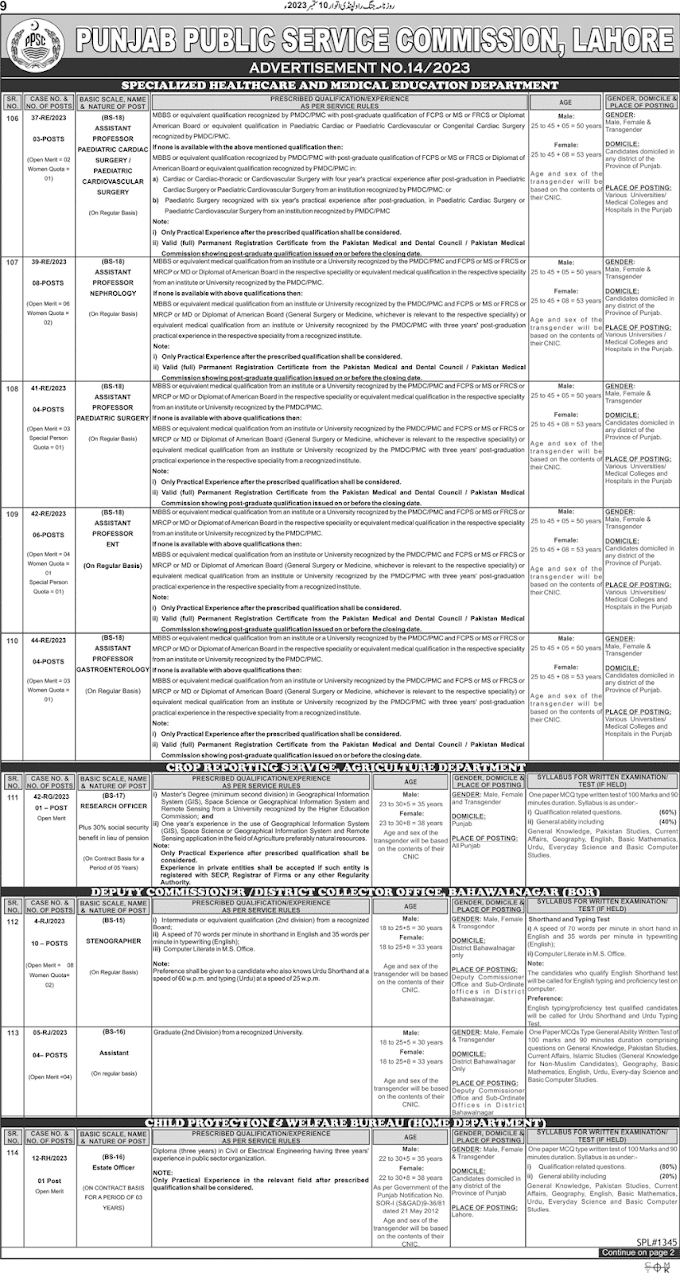 Punjab Public Service Commission (PPSC) Jobs 2024