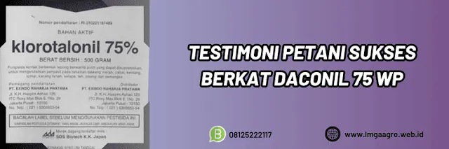 testimoni,petani,sukses,pengaplikasian,lmga agro