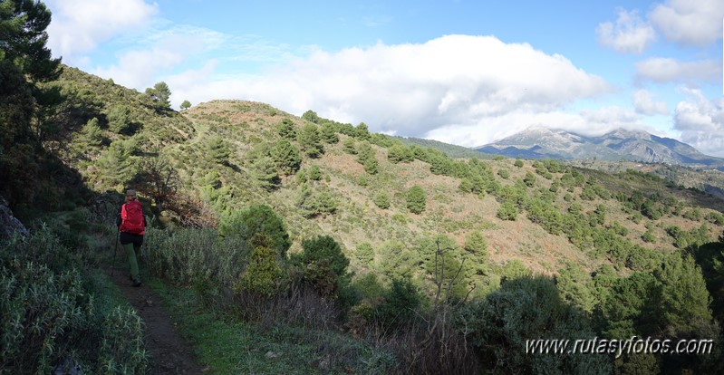 Sendero Río de los Horcajos