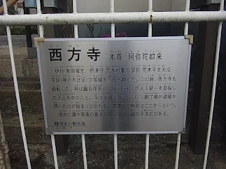 写真: 