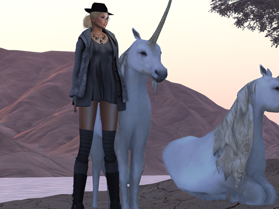 Snapshot_013