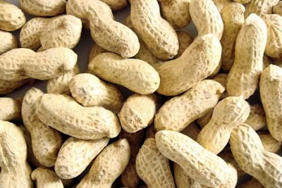 Manfaat Makan kacang Tanah Untuk Kesehatan