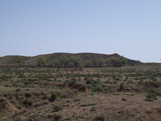 Foothills of the Rockies