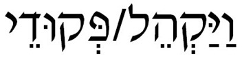 vayakhel-pekudei