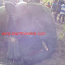 Ghana: Angry Youth Kill Two Mole Game Reserve Elephants