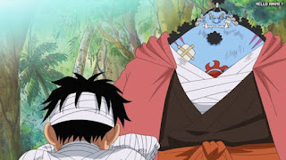 ワンピースアニメ 505話 ジンベエ ルフィ | ONE PIECE Episode 505