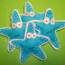 Broche de fieltro: Estrella de mar