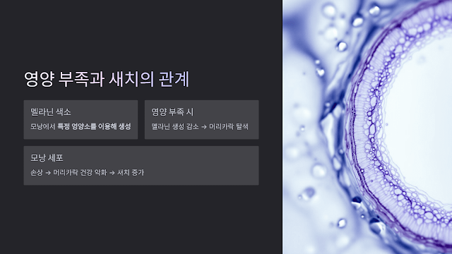 영양-부족과-새치의-관계