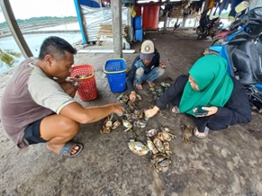 Chandra Buana Ajak Warga Desa Banggina Panen Untung  Lewat Kepiting Bakau