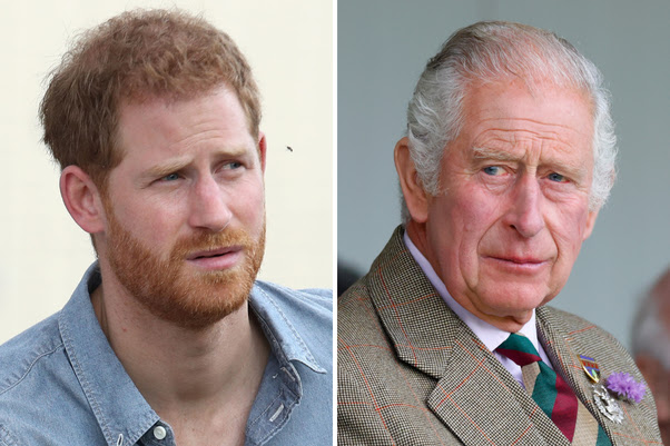 King Charles' Decision to Withdraw Funds and Cancel the Trust for Prince Harry's Children