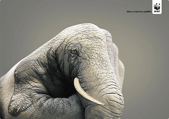 Alarming Advertisements Dedicated to Earth Day