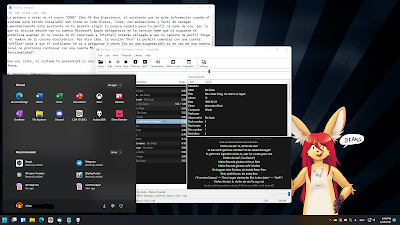 Foobar2000, bloc de notas y el menú de inicio de Windows 11.