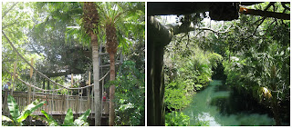 swiss robinson treehouse adventureland 