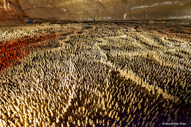 Cien Mil Soldados, Cueva de Trabuc - Francia, por El Guisante Verde Project