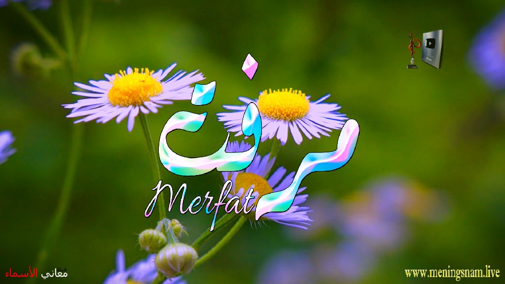 معنى اسم مرفت, وصفات حاملة, هذا الاسم, Merfat,