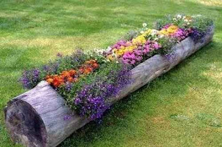 Log Planter