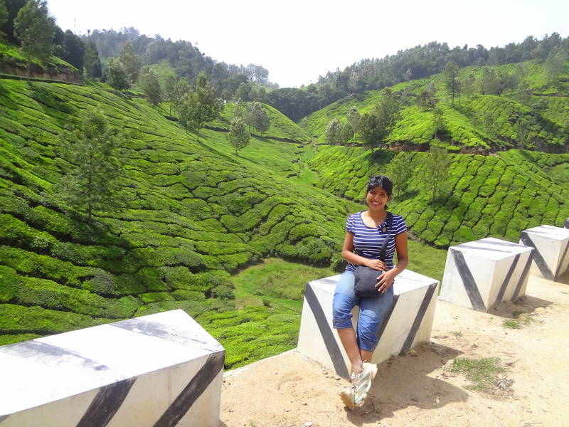 Munnar Tea Gardens