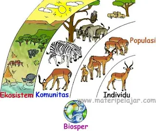 Pengertian, #4 Tingkatan Ekologis Biosfer