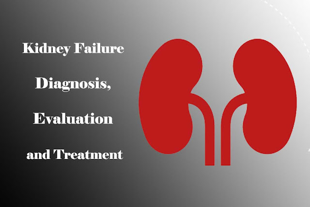 Kidney Failure - Diagnosis, Evaluation and Treatment