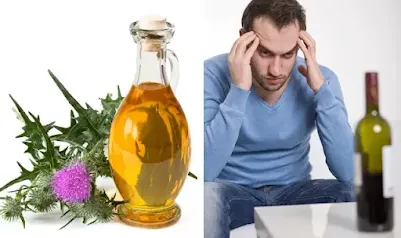 Milk thistle for hangove