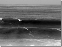 IMG_6356