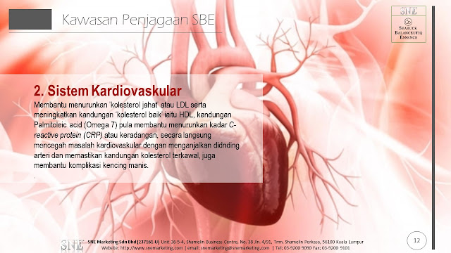 Kandungan Omega 7 yang sangat berkhasiat membantu mengembalikan fleksibilitas dinding pembuluh darah Anda, mengurangi kadar kolesterol dan trigliserida dan meredakan peradangan pasca serangan angina pectoris 