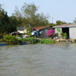 View album
