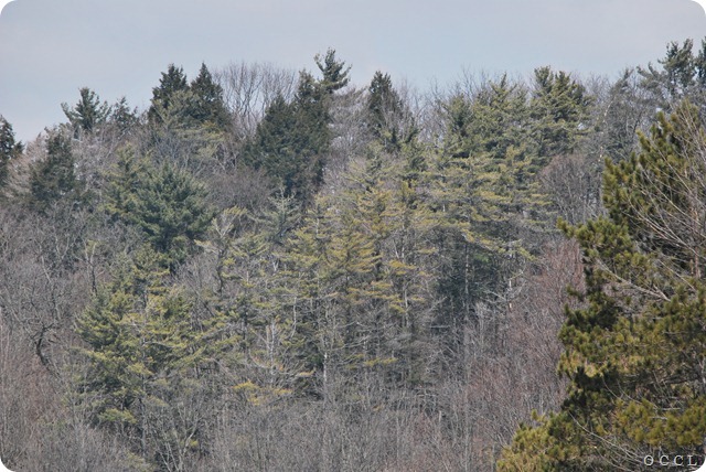 DSC_0052