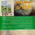DXN Lion's Mane 