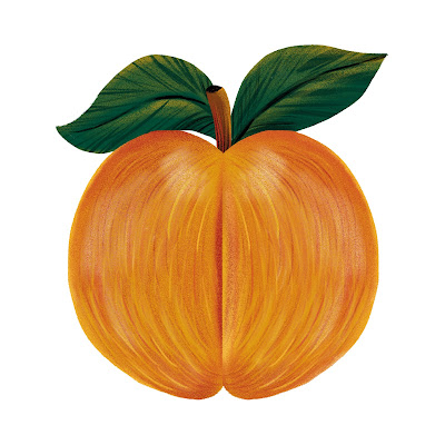 70+ Cartoon images of Apricot fruit