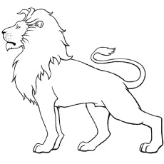 White Lion For Coloring Pages