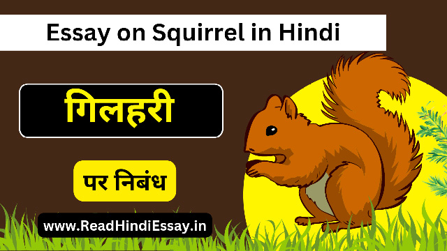 गिलहरी पर निबंध हिंदी में - Essay on Squirrel in Hindi