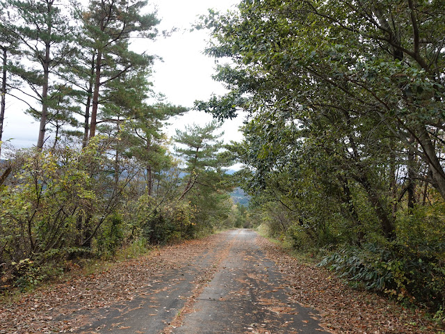 グランソール大山希望ヶ丘 管理用道路