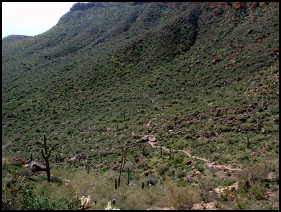 P3060002