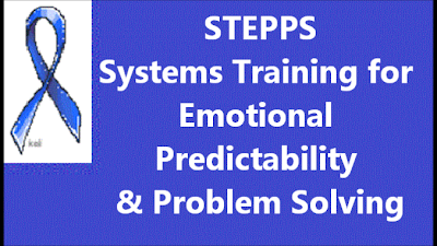 STEPPS,Systems training for emotional predictability,problem solving