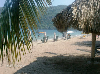 imagen Playa Punta la Cruz 