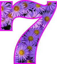 numero 7 morado con flores blancas en su interior para recortes y tareas escolares