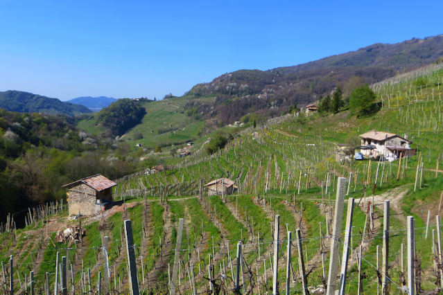 strada del verdiso combai