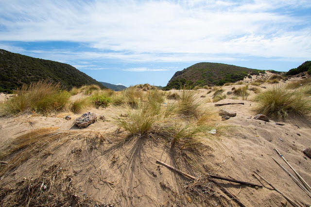 Spiaggia di Cala domestica-Dune di sabbia