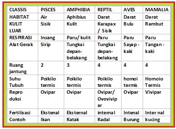 BIOLOGI GONZAGA HEWAN BERTULANG BELAKANG BIOLOGI GONZAGA HEWAN BERTULANG BELAKANG