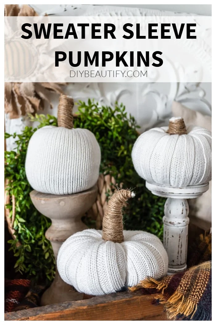 white sweater pumpkins