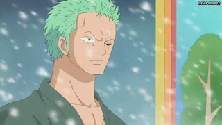 ワンピースアニメ パンクハザード編 612話 ロロノア・ゾロ Roronoa Zoro | ONE PIECE Episode 612