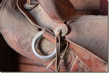 IMG_3456 IMG_3456