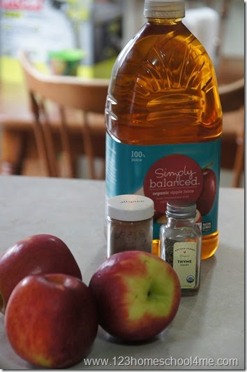time to add the apple goodness to your soup