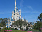 Disney World castle (castle)